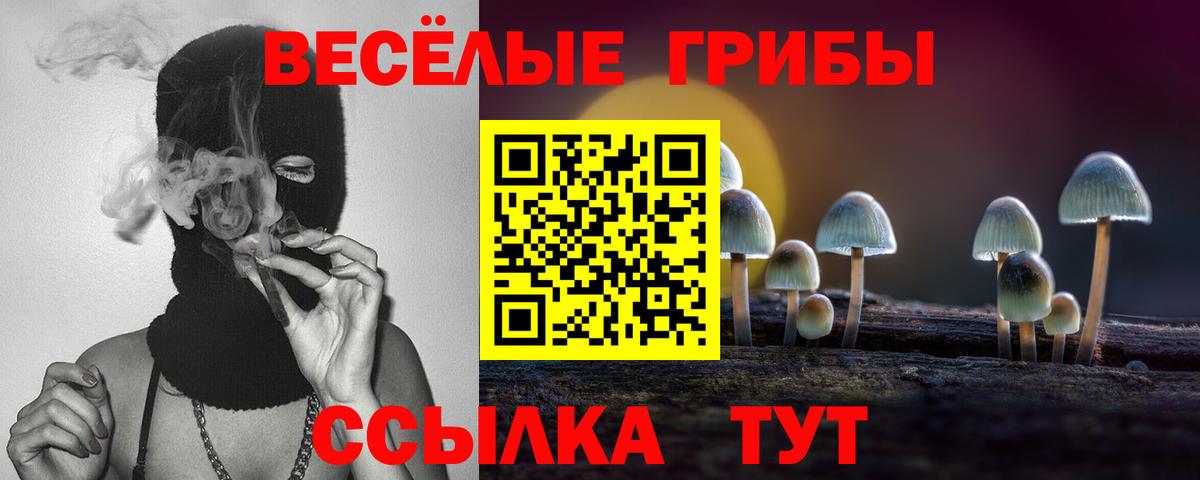 Псилоцибиновые грибы MAGIC MUSHROOMS Печора