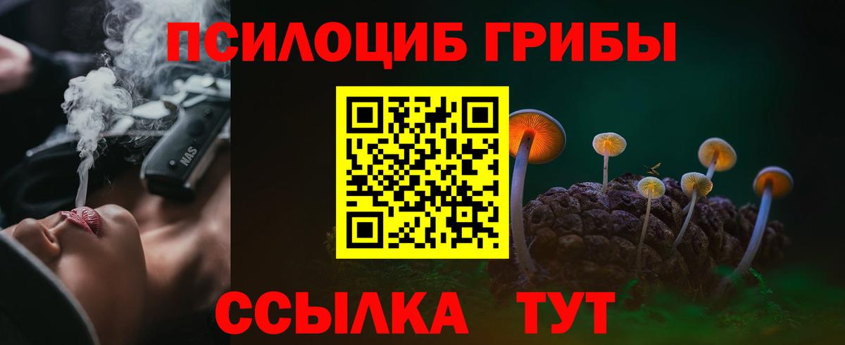 Печора  Псилоцибиновые грибы Magic Shrooms  цена   Псилоцибиновые грибы GOLDEN TEACHER  Вход с VPN 